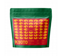 Coffee Plant KYOTO kawa ziarnista Etiopia Sidamo Ayla Shantawene Filter 250 g