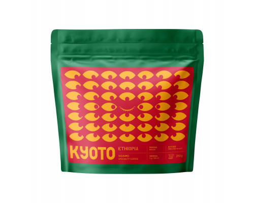 Coffee Plant KYOTO kawa ziarnista Etiopia Sidamo Ayla Shantawene Filter 250 g