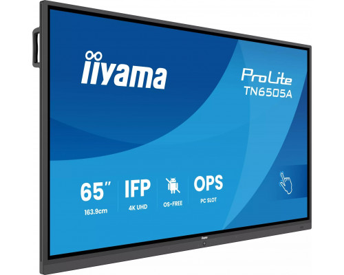 iiyama ProLite TN6505A-B1AG