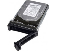 Dell 600GB 2.5'' SAS-2 (6Gb/s) (96G91)