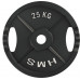 HMS TOD10 Plate Olympic Black 10 KG