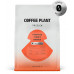 Coffee Plant Tanzania Itumpi Washed 250 g
