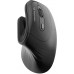 Wozinsky Bezprzewodowa WWM-1076 pionowa ergonomiczna 3600 DPI - czarna (5907769388224)