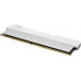 Klevv 32GB (16Gbx2) Urban V RGB 6000 CL28 White (KD5AGUA80-60B280M)