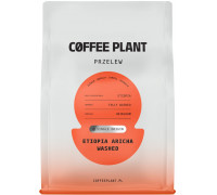Coffee Plant Etiopia Aricha Washed 250g (5904800244389)