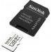 SD  SanDisk High Endurance MicroSDXC 128 GB Class 10 UHS-I/U3 V30 (SDSQQNR-128G-GN6IA)