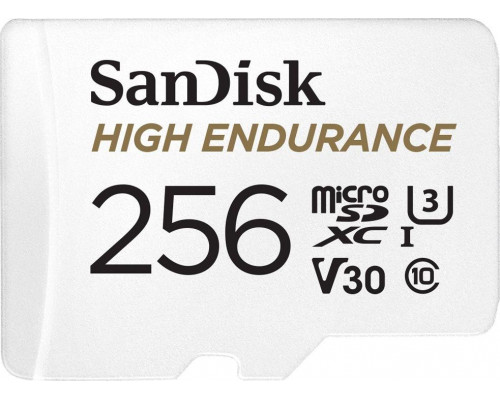 SD  SanDisk High Endurance MicroSDXC 256 GB Class 10 UHS-I/U3 V30 (SDSQQNR-256G-GN6IA)