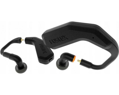 Fostex TM2