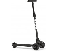 Bird Birdie Black