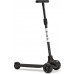 Bird Birdie Black