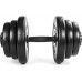 Bestif ‎‎‎Dumbbells BH020 bituminous 2 x 10 kg