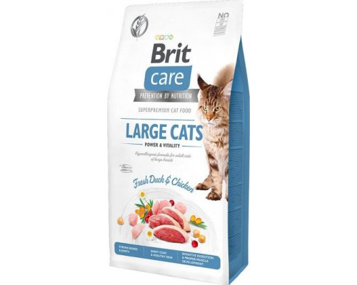 VAFO PRAHS BRIT CARE CAT LARGE CATS 2KG POWER & VITALITY GF