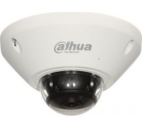 Dahua Technology Camera VANDALPROOF IP IPC-EB5541-AS - 5 Mpx 1.4 mm - Fish Eye DAHUA