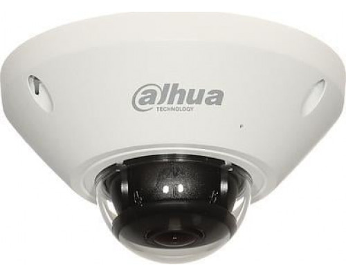 Dahua Technology Camera VANDALPROOF IP IPC-EB5541-AS - 5 Mpx 1.4 mm - Fish Eye DAHUA