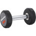 inSPORTline Profi CPU rubberized 1 x 5 kg
