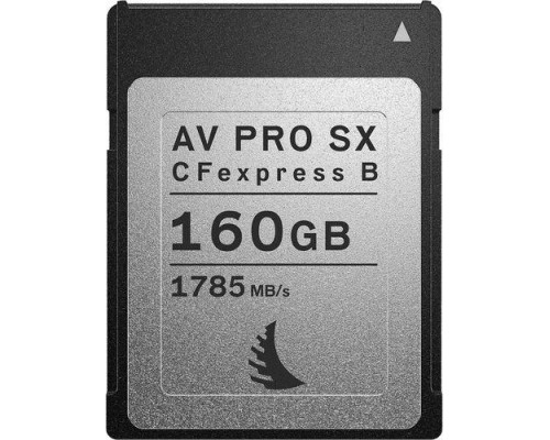 SD  Angelbird AV PRO SX CFexpress 160 GB  (AVP160CFXBSX)