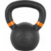 inSPORTline Powder cast iron 10 kg