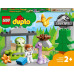 LEGO Duplo Dinozaurowa szkółka (10938)