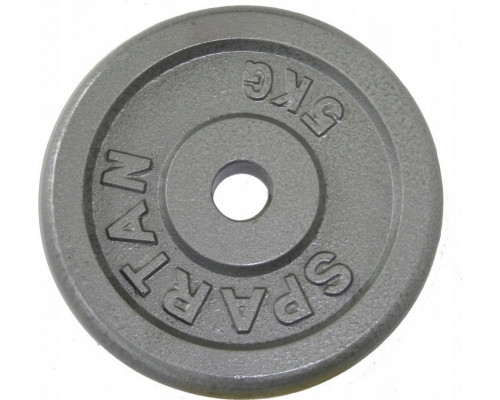 Plate Cast Iron Do Ćwiczeń 2x20 kg