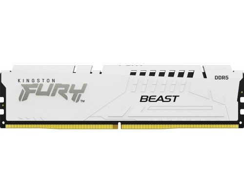 Kingston Fury Beast, DDR5, 16 GB, 5600MHz, CL36 (KF556C36BWE-16)