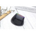 Delux Bezprzewodowa pionowa Delux M618C 2.4G 1600DPI RGB (Czarna)