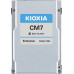 Kioxia X121 CM7-R eSSD U.3 eSDD 7.6TB PCIe SIE