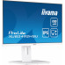 iiyama ProLite XUB2492HSU-W6