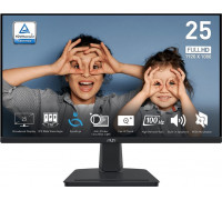 MSI PRO MP251