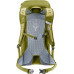 Deuter AC Lite 16 l Linden-Cactus