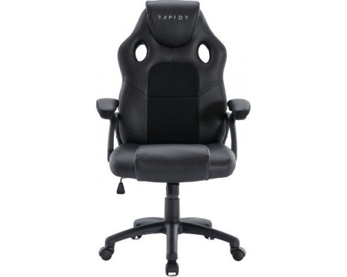 Raptor Gaming Raptor Gaming Stuhl GS-40 PU + fabric        schwarz/schwarz