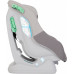 Graco EXTEND R129 NICKEL