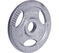 inSPORTline stalowe Hamerton 5kg 30mm - 12710