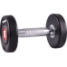 inSPORTline ‎‎Hantel Profi rubberized 1 x 8 kg