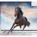 Kivi 50U730QB LED 50'' 4K Ultra HD