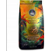 West Caffee Mexico Stan Chiapas Intesita Altura
