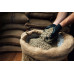 West Caffee Mexico Stan Chiapas Intesita Altura