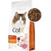 Catit Sucha karma dla kota Catit Recipies Adult Poultry z drobiem 2kg