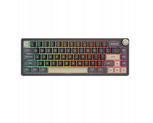 Royal Kludge R65 RGB Phantom laidinė mechaninė klaviatūra | 60%, Chartreuse switches, US