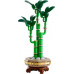 LEGO Botanicals Dracena sandera (10344)