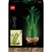 LEGO Botanicals Dracena sandera (10344)
