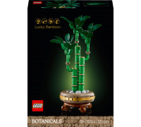 LEGO Botanicals Dracena sandera (10344)