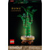 LEGO Botanicals Dracena sandera (10344)