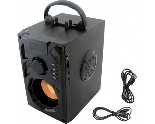 ZS53 bluetooth radio