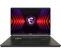 Laptop MSI Vector 17 HX A14VIG-1006PL i9-14900HX / 32 GB / 1 TB / W11 / RTX 4090 / 240 Hz