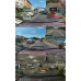 70Mai Dash Cam A810 4K + karta SD 70mai 128GB