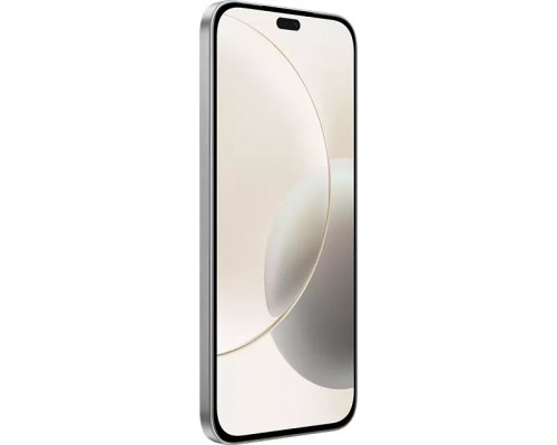 Honor 400 Lite 17 cm (6.7") Dual SIM MagicOS 9.0 4G Micro-USB 8 GB 256 GB 5230 mAh Gray