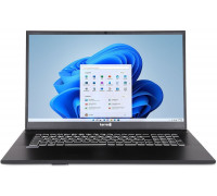 TERRA MOBILE 1716R i5-1334U W11