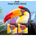 CHiQ L40M9V LED 40'' Full HD Google TV