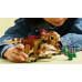 LEGO Jurassic World 76970 Baby Dino Dolores: Aquilops