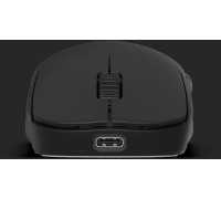 Endgame Gear OP1w 4k v2 Wireless Gaming Mouse, 4,000Hz - black